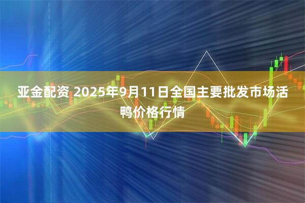 亚金配资 2025年9月11日全国主要批发市场活鸭价格行情