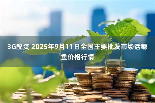 3G配资 2025年9月11日全国主要批发市场活鳜鱼价格行情