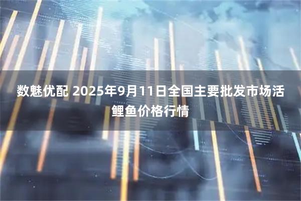 数魅优配 2025年9月11日全国主要批发市场活鲤鱼价格行情