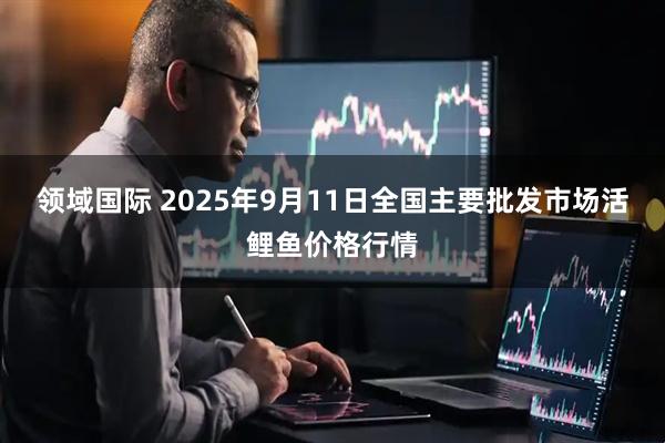 领域国际 2025年9月11日全国主要批发市场活鲤鱼价格行情