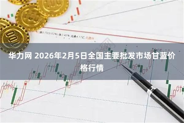 华力网 2026年2月5日全国主要批发市场甘蓝价格行情
