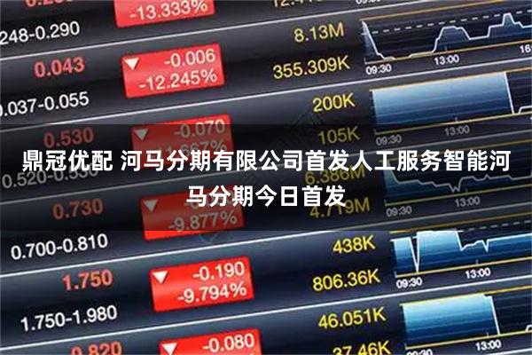 鼎冠优配 河马分期有限公司首发人工服务智能河马分期今日首发