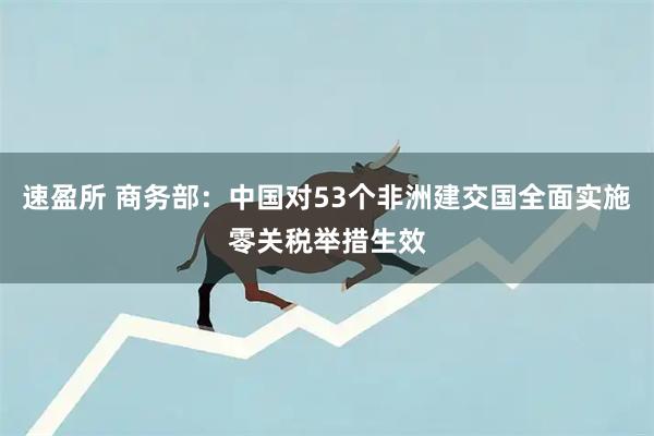 速盈所 商务部：中国对53个非洲建交国全面实施零关税举措生效
